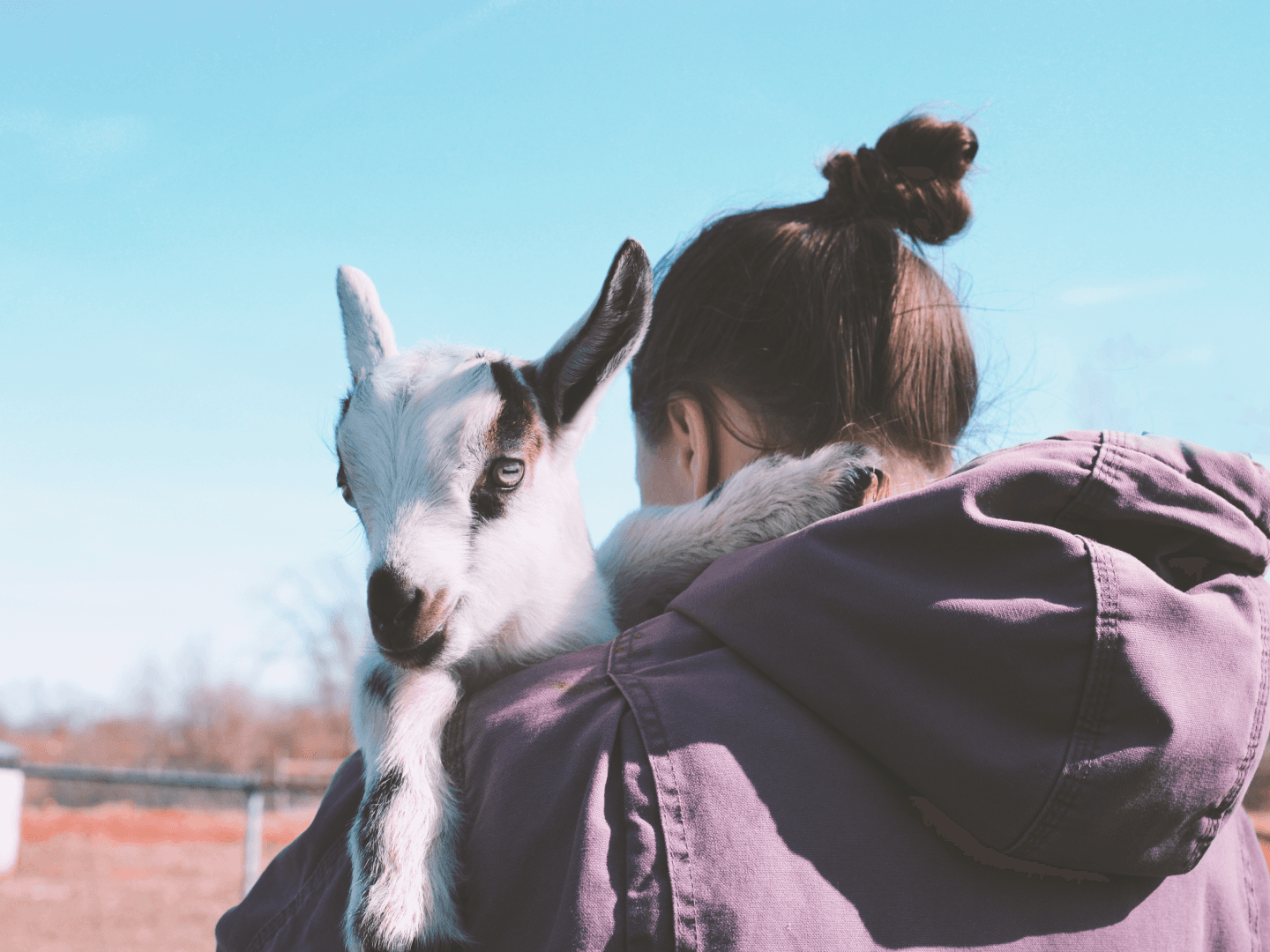 Passo 1 per utilizzare il filtro AI GTA.