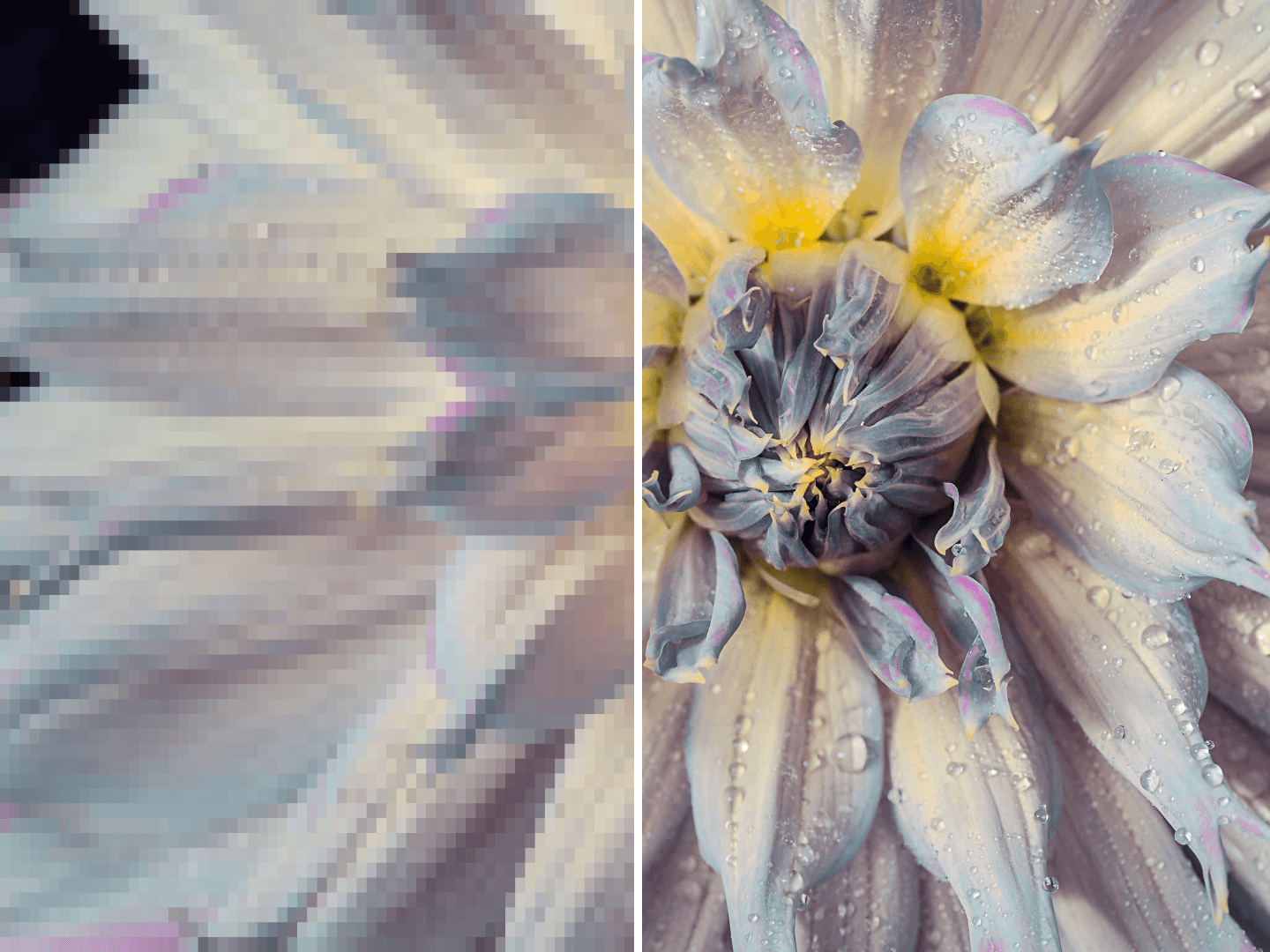 Example of the high-quality AI Image Upscaler output.