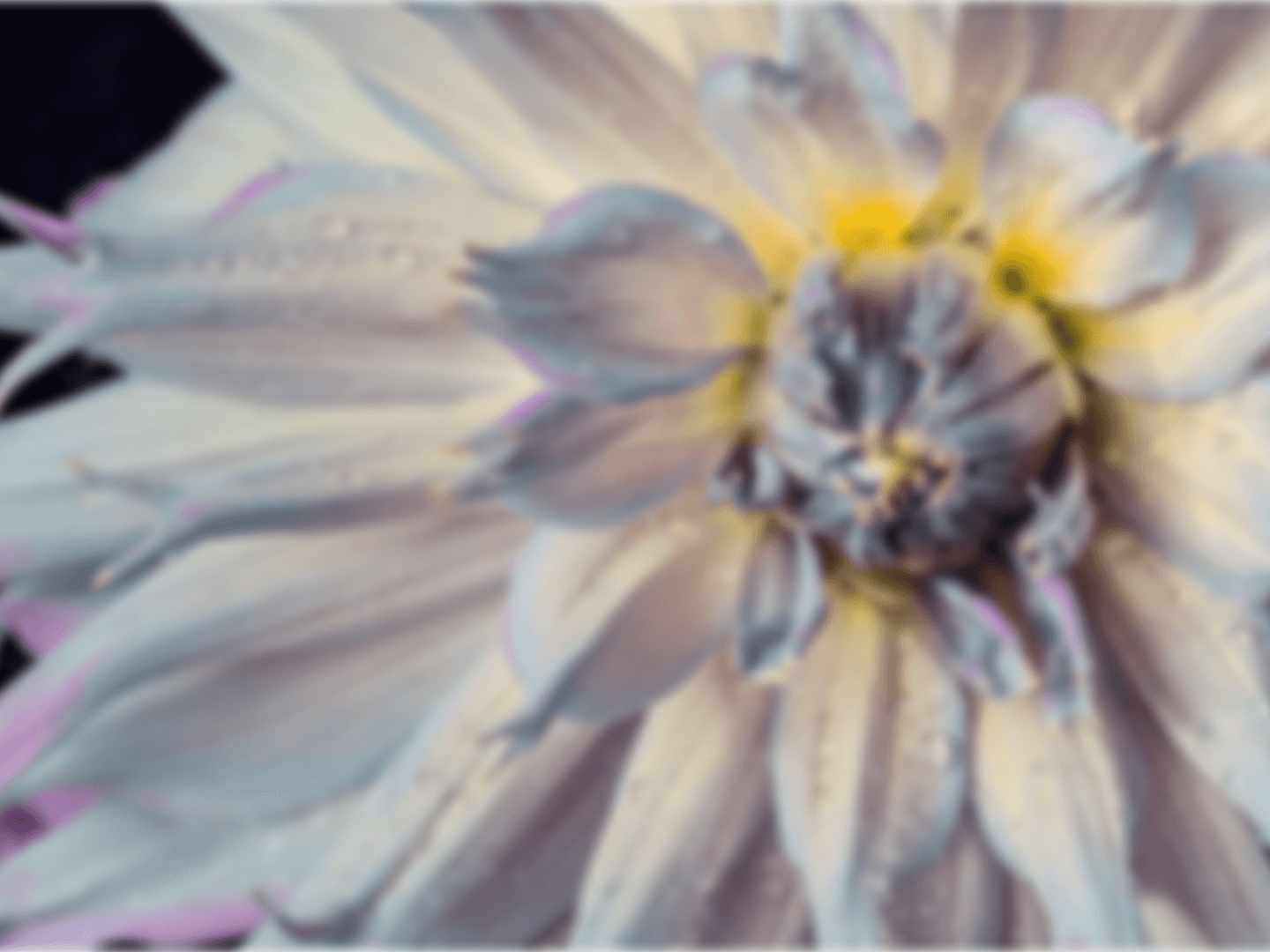 Step 1 for using AI Image Upscaler.