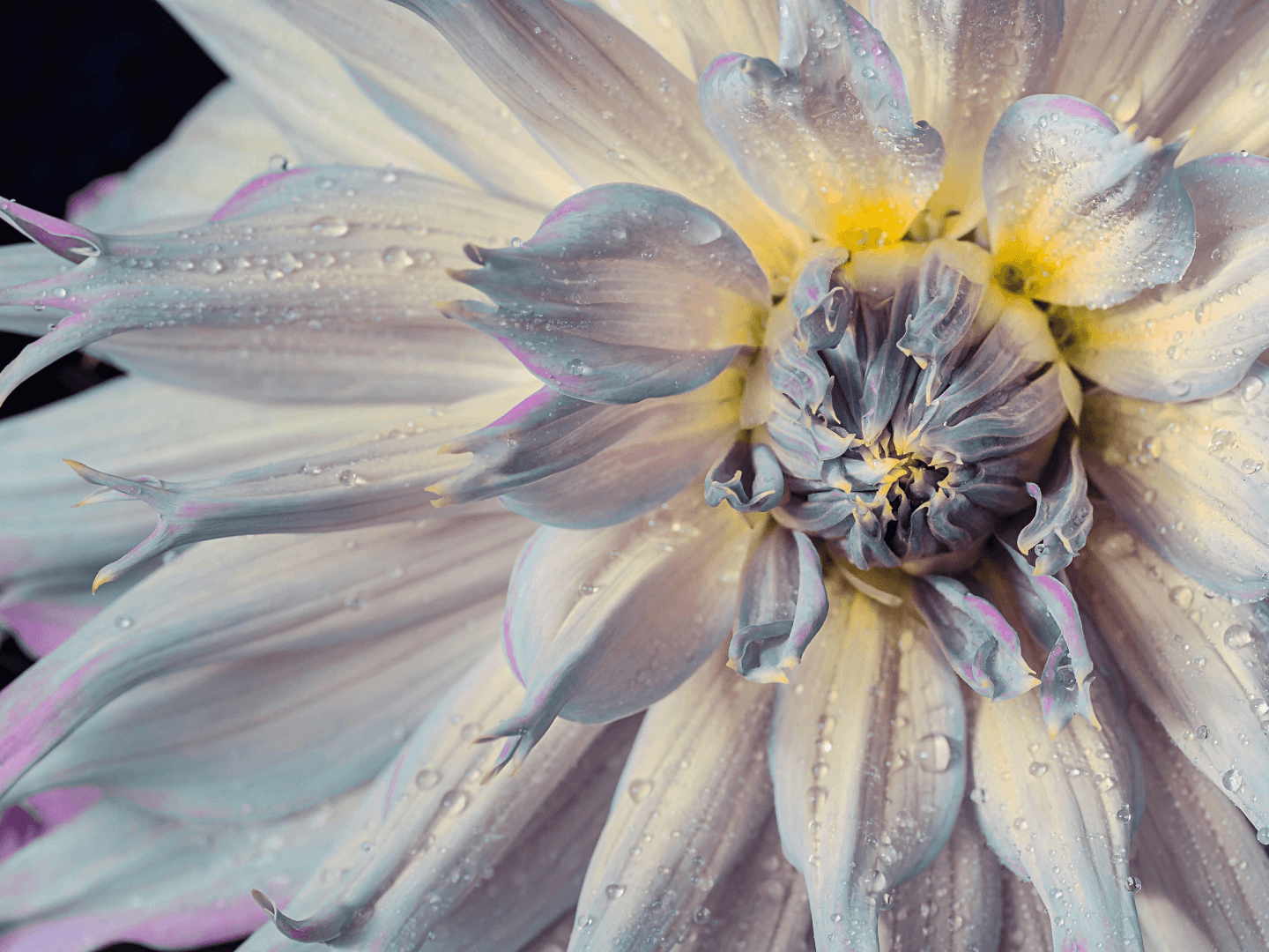 Step 2 for using AI Image Upscaler.