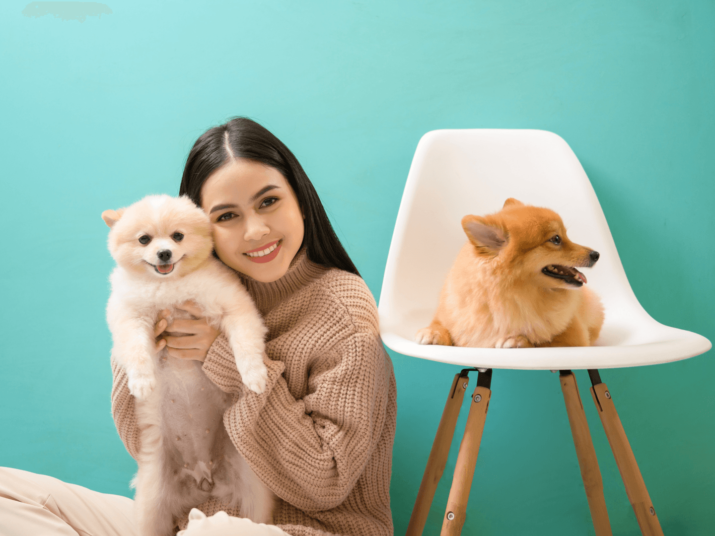 Passo 1 per utilizzare AI Low Poly Generator.