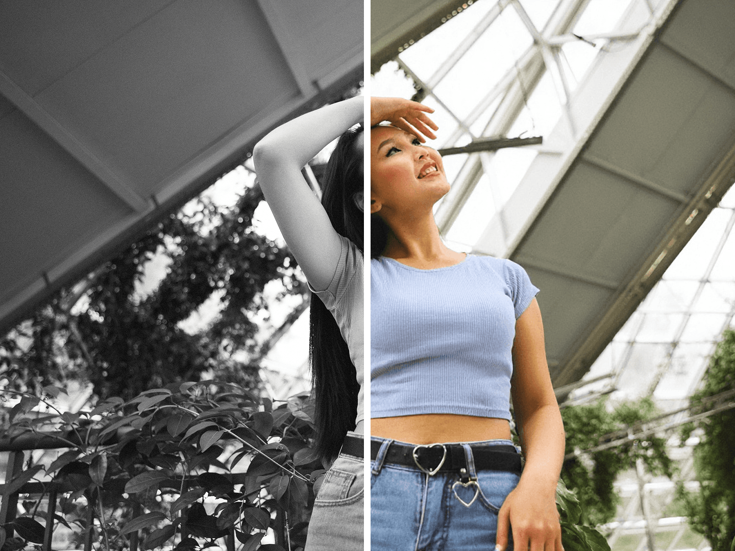 Example of the high-quality AI Photo Colorizer  output.