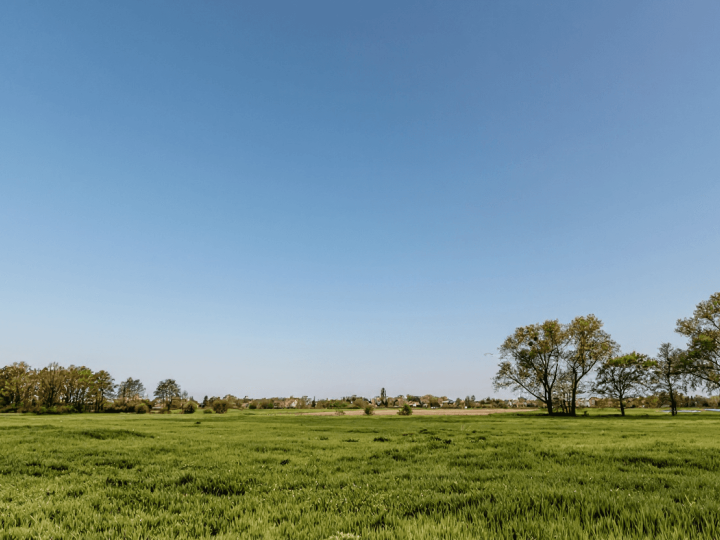 Step 1 for using AI Sky Replacement .