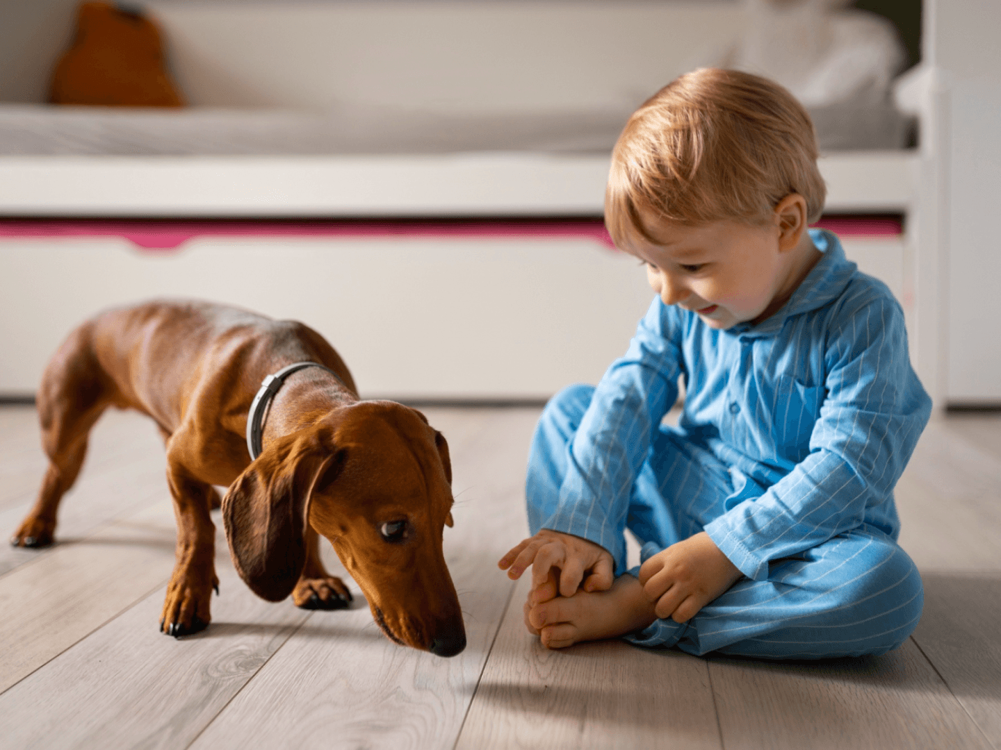 Passo 1 per utilizzare Photo to Anime Converter.