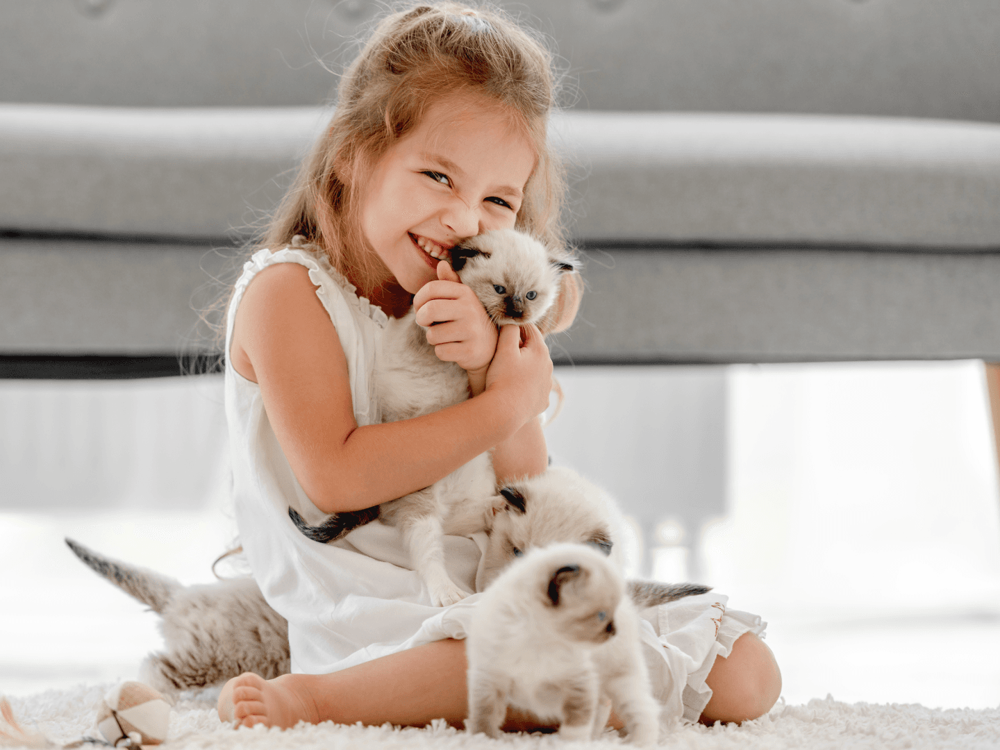 Passo 1 per utilizzare il Pixar AI Generator.