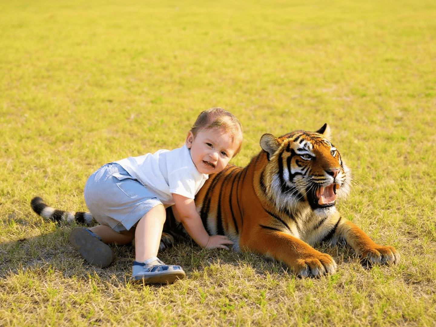 Passo 2 per utilizzare Realistic AI Image Generator.