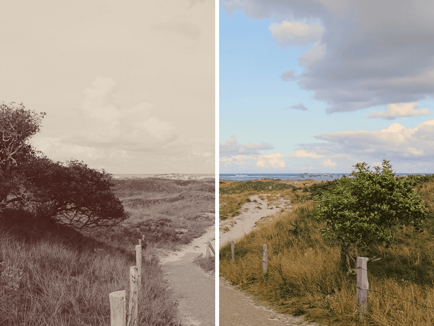 Preview of AI Photo Restoration tool